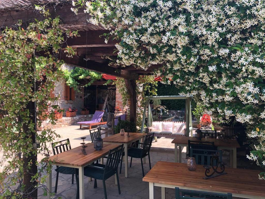 Bed and Breakfast Aiceltis Teolo Exterior foto